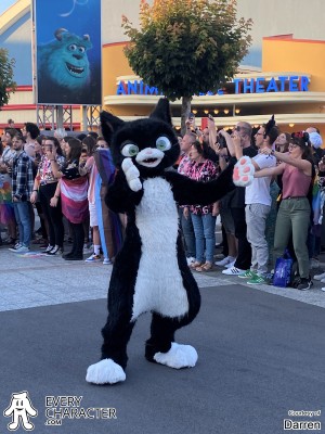 Mittens in the Regular Look - 2009-... Outfit