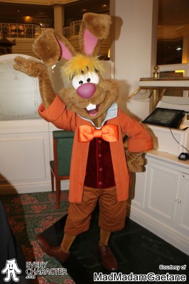 Since 2015 March Hare in the Regular Look - 2013-... Outfit Since 2015 March Hare in the Regular Look - 2013-... Outfit