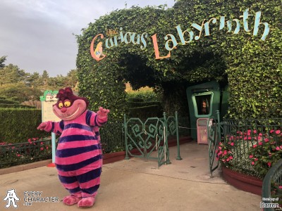 Cheshire Cat in the Regular Look - 2013 -... Outfit Cheshire Cat in the Regular Look - 2013 -... Outfit