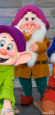 Seven Dwarfs - Regular Look - 1961-1969 Sleepy in the Regular Look - 1961-1969 Outfit