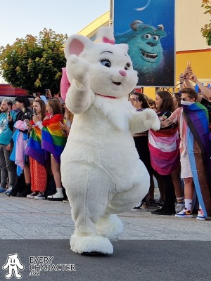 Marie in the Regular Look - 2013-... Outfit