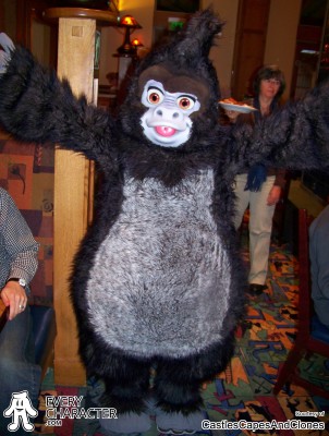 Terk in the Regular Look - 1999-... Outfit Terk in the Regular Look - 1999-... Outfit