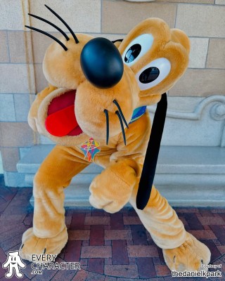 Pluto in the DLR - Disneyland 70th Annivesary Outfit Pluto in the DLR - Disneyland 70th Annivesary Outfit