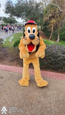 Pluto in the WDW - ESPN Outfit Pluto in the WDW - ESPN Outfit