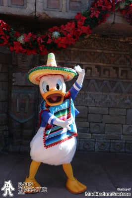 WDW - Epcot - Mexico Pavilion Donald Duck in the WDW - Epcot - Mexico Pavilion outfit