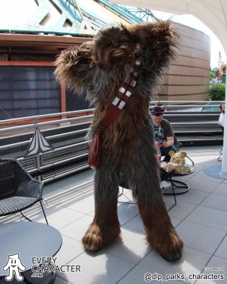 Chewbacca in the Regular Look - 1977-... Outfit Chewbacca in the Regular Look - 1977-... Outfit