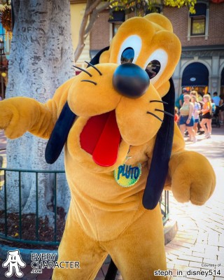 Pluto in the DLR - Halloween Time - 2025 Outfit Pluto in the DLR - Halloween Time - 2025 Outfit