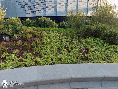 DLP - Heroic Demonstration Area DLP - Heroic Demonstration Area where DLP - Warriors of Wakanda took place.