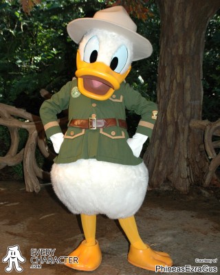 Donald Duck Donald Duck