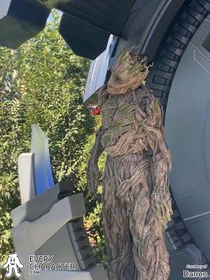 I am Groot! I am Groot!