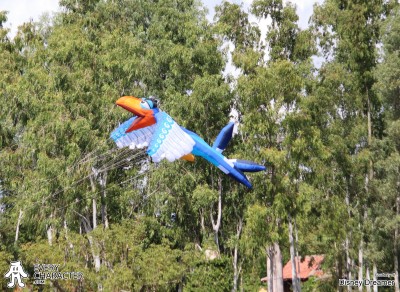 Zazu in the WDW - Kite Tails Outfit Zazu in the WDW - Kite Tails Outfit