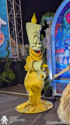 Lumiere in the Regular Look - 1991-... Outfit Lumiere in the Regular Look - 1991-... Outfit
