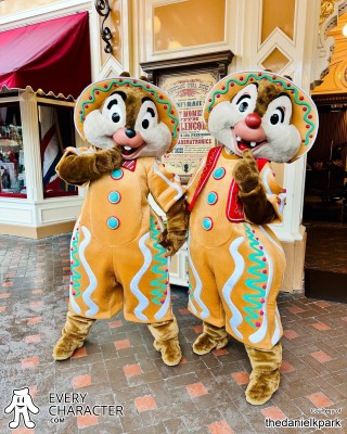 Chip in the DLR - Christmas 2025 Outfit Chip in the DLR - Christmas 2025 Outfit