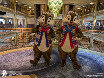 Chip in the DCL - Pirate Night Outfit Chip in the DCL - Pirate Night Outfit
