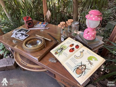 Observation Desk Observation Desk