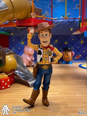 Woody in the Regular Look - 2021-... Outfit Woody in the Regular Look - 2021-... Outfit