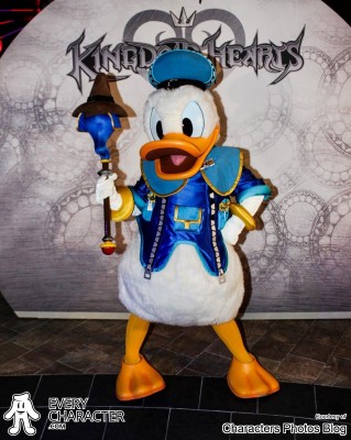 Donald Duck Kingdom Hearts Donald Duck Kingdom Hearts