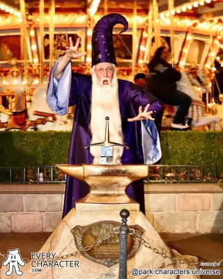 Merlin in the Merlin - US Regular Look - 1963-... Outfit