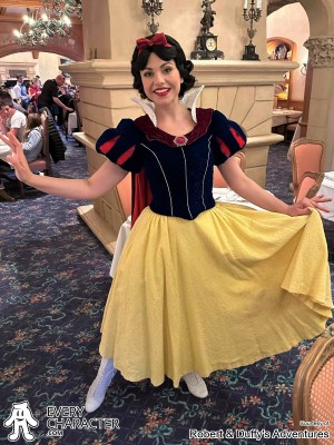 Snow White in the Regular Look - 2013-... Outfit Snow White in the Regular Look - 2013-... Outfit