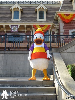 Donald Candy Cone Donald Candy Cone