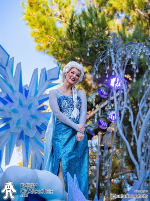 Elsa with Blue dress in the Regular Look - 2013-2019 Outfit Elsa with Blue dress in the Regular Look - 2013-2019 Outfit