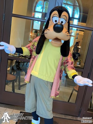 Goofy Goofy