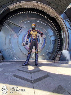 The Wasp The Wasp