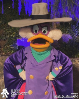 Flaps in the Night Flaps in the Night