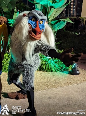 Rafiki with No Stick in the Regular Look - 1994-... Outfit Rafiki with No Stick in the Regular Look - 1994-... Outfit