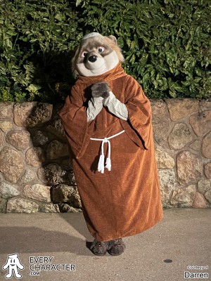 Friar Tuck with Brown Frock in the Regular Look - Brown Frock Outfit