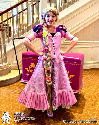 Princess Rapunzel on EveryCharacter.com