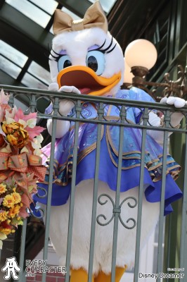 WDW - The Earidescent 50th Anniversary Daisy Duck in the WDW - The Earidescent 50th Anniversary Outfit