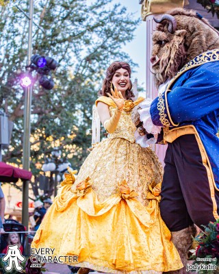 Belle in the DLR - A Christmas Fantasy Outfit Belle in the DLR - A Christmas Fantasy Outfit