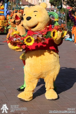 Winnie the Pooh in the Regular Look - 1999-... Outfit Winnie the Pooh in the Regular Look - 1999-... Outfit