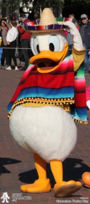Donald Duck in Poncho in the DLP - DDE - Latin America Outfit Donald Duck in Poncho in the DLP - DDE - Latin America Outfit
