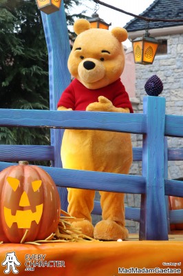 Winnie the Pooh in the Regular Look - 1999-... Outfit Winnie the Pooh in the Regular Look - 1999-... Outfit