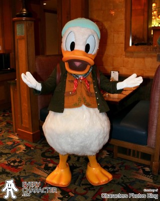 Donald Duck in the DLR - Storytellers Cafe - Donald's Tales of Adventure Outfit Donald Duck in the DLR - Storytellers Cafe - Donald's Tales of Adventure Outfit