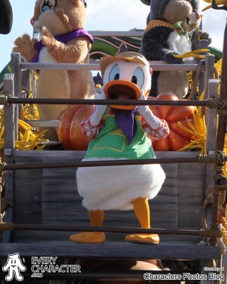Donald Duck Donald Duck