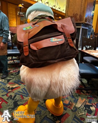 Donald's Back Pack Donald's Back Pack