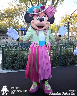 Minnie Mouse in the Regular Look - 2026 Outfit