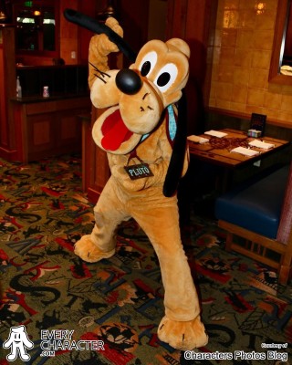 Pluto in the DLR - Storytellers Cafe - Donald's Tales of Adventure Outfit Pluto in the DLR - Storytellers Cafe - Donald's Tales of Adventure Outfit