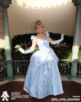 Cinderella in the Regular Look - 2013-... Outfit Cinderella in the Regular Look - 2013-... Outfit