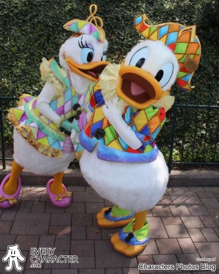 Donald Duck in the DLP - Music Festival - Donald and Daisy's Accordionist Outfit Donald Duck in the DLP - Music Festival - Donald and Daisy's Accordionist Outfit