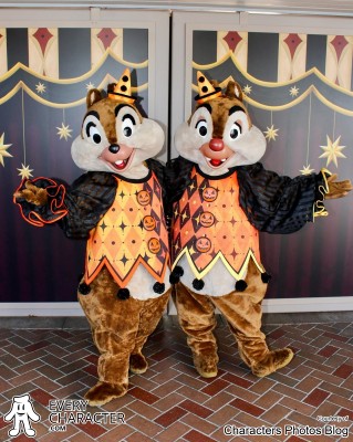 Dale &nbsp;&&nbsp; Chip