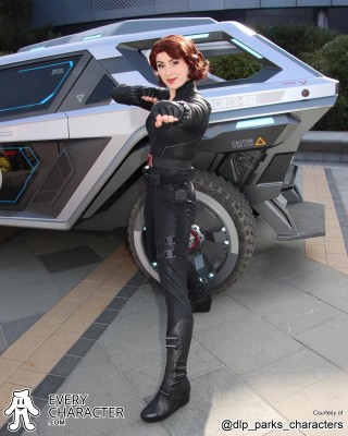 Black Widow in the Regular Look - 2012-... Outfit