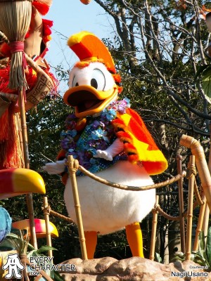Donald Duck Donald Duck