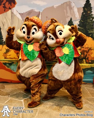 Dale in the DLP - Happy Harvest Celebration Outfit