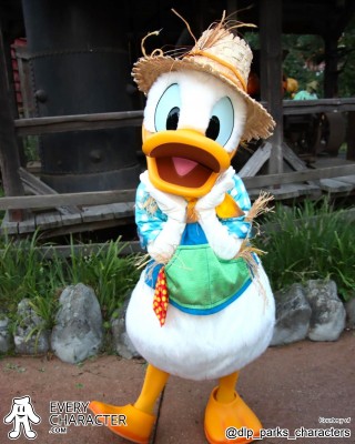 Donald Duck Donald Duck