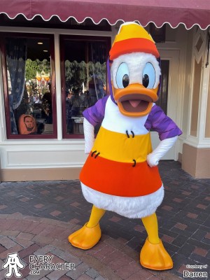 with Donald with Donald