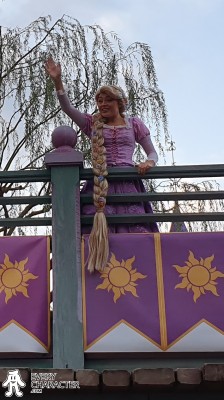 Rapunzel in the Regular Look - 2015-.. - Full braid Outfit Rapunzel in the Regular Look - 2015-.. - Full braid Outfit